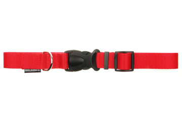 NELSON-X BASIC Hundehalsband