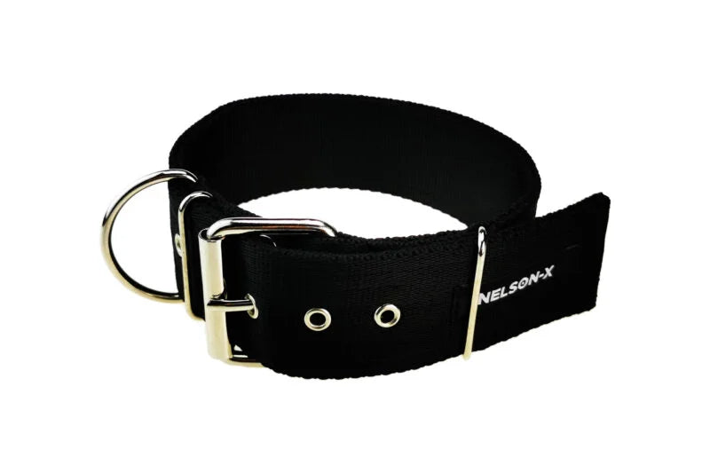 NELSON-X SAFETY 5 cm nicht abnehmbares Hundehalsband