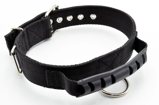 NELSON-X Hundehalsband mit Griff 4 cm